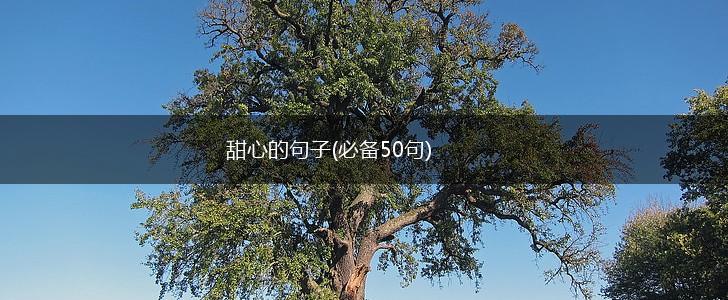 甜心的句子(必备50句),第1张