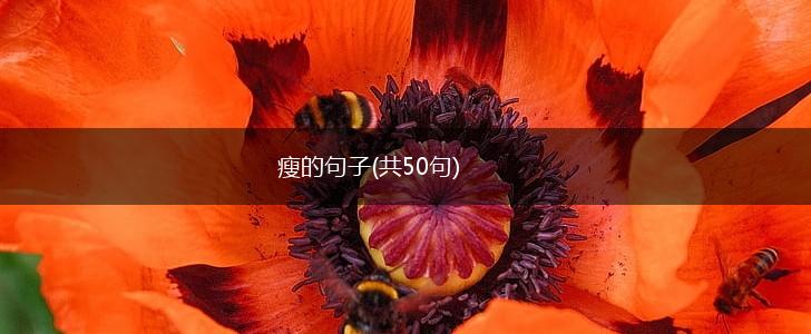 瘦的句子(共50句),第1张