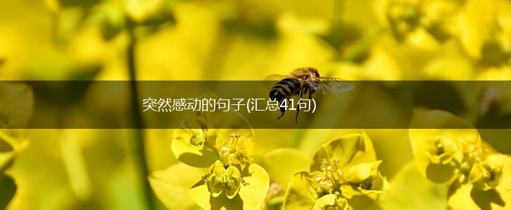 突然感动的句子(汇总41句),第1张