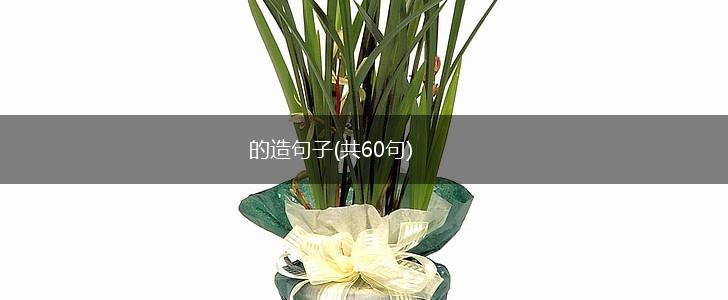 的造句子(共60句),第1张