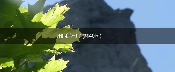 用的造句子(共40句),第1张