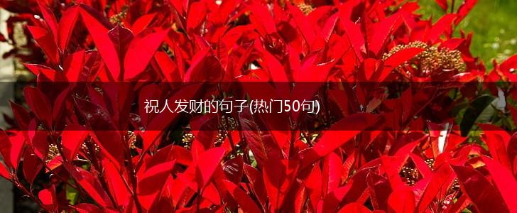 祝人发财的句子(热门50句),第1张