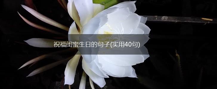 祝福闺蜜生日的句子(实用40句),第1张
