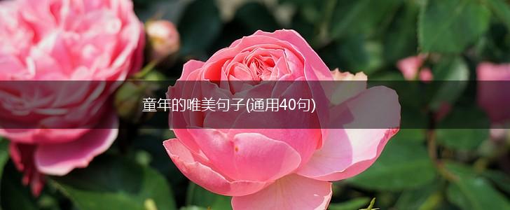 童年的唯美句子(通用40句),第1张