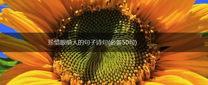 珍惜眼前人的句子诗句(必备50句),第1张