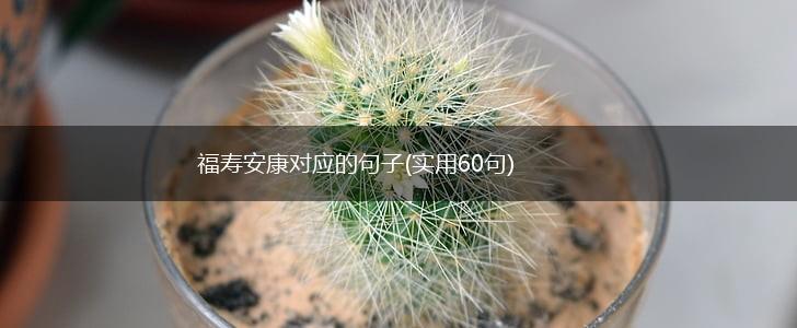 福寿安康对应的句子(实用60句),第1张