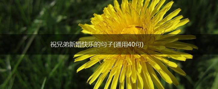 祝兄弟新婚快乐的句子(通用40句),第1张