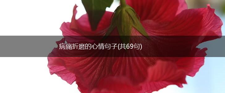 病痛折磨的心情句子(共69句),第1张