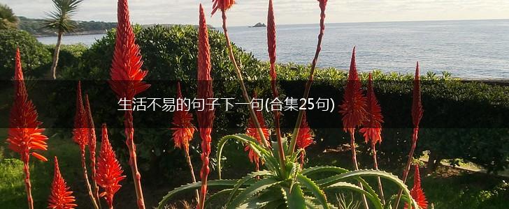 生活不易的句子下一句(合集25句),第1张
