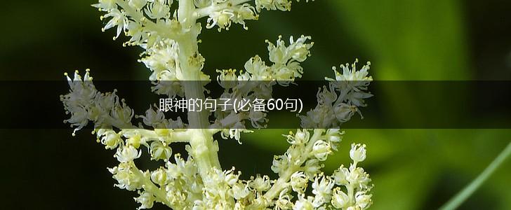 眼神的句子(必备60句),第1张