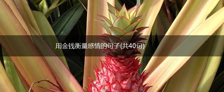 用金钱衡量感情的句子(共40句),第1张