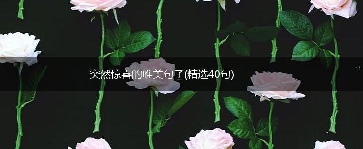 突然惊喜的唯美句子(精选40句),第1张