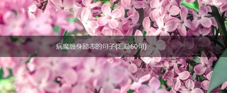 病魔缠身励志的句子(汇总60句),第1张