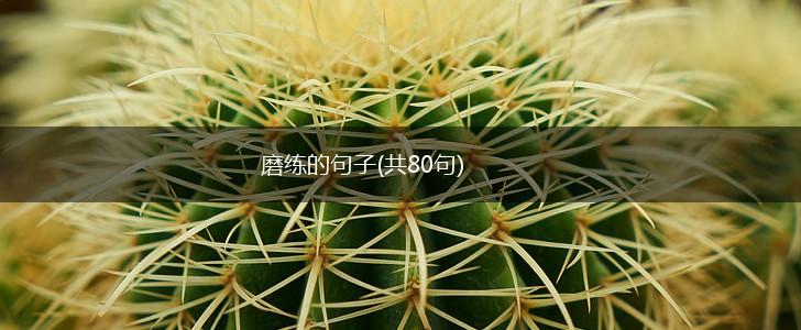 磨练的句子(共80句),第1张