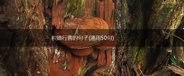 积德行善的句子(通用50句),第1张