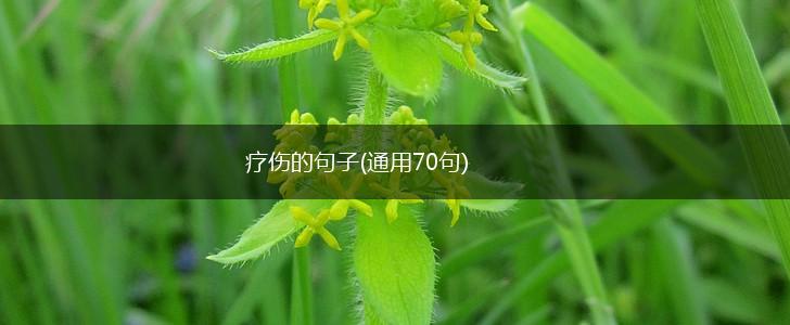疗伤的句子(通用70句),第1张