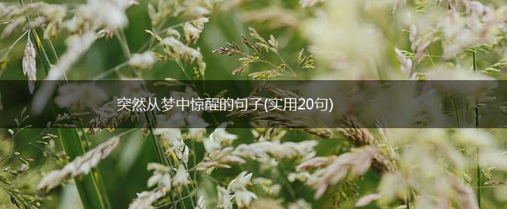 突然从梦中惊醒的句子(实用20句),第1张