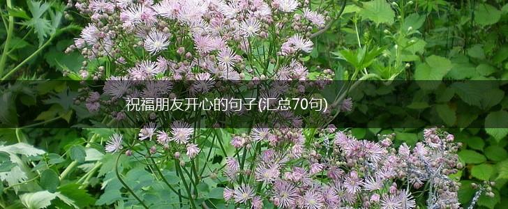 祝福朋友开心的句子(汇总70句),第1张