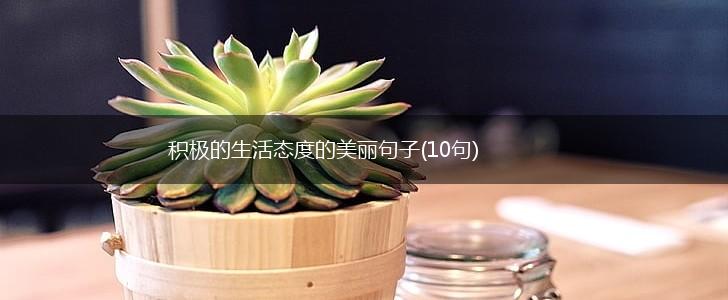 积极的生活态度的美丽句子(10句),第1张
