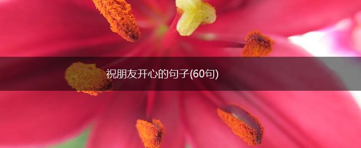 祝朋友开心的句子(60句),第1张