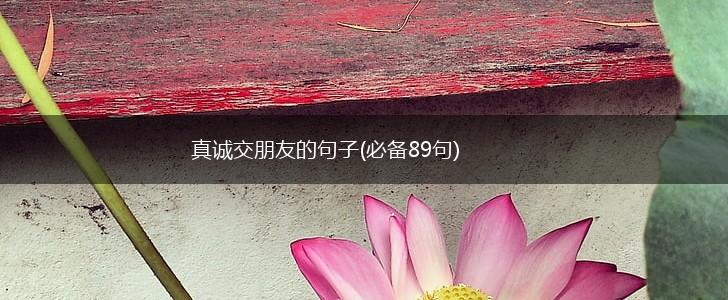 真诚交朋友的句子(必备89句),第1张