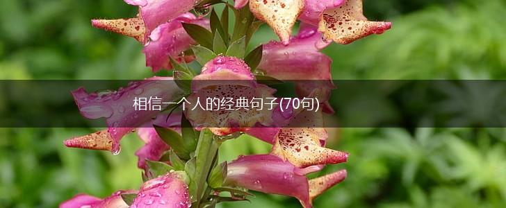 相信一个人的经典句子(70句),第1张
