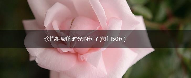 珍惜相聚的时光的句子(热门50句),第1张