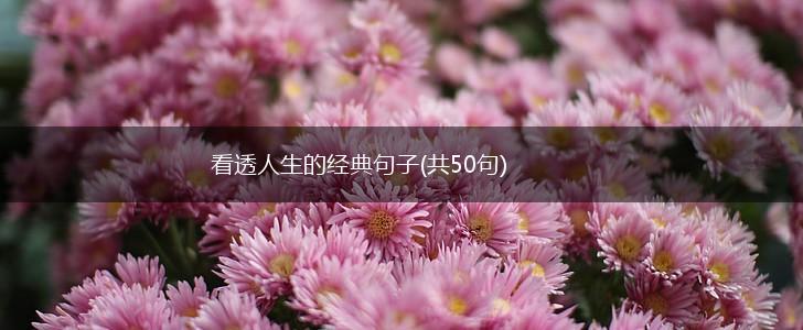 看透人生的经典句子(共50句),第1张