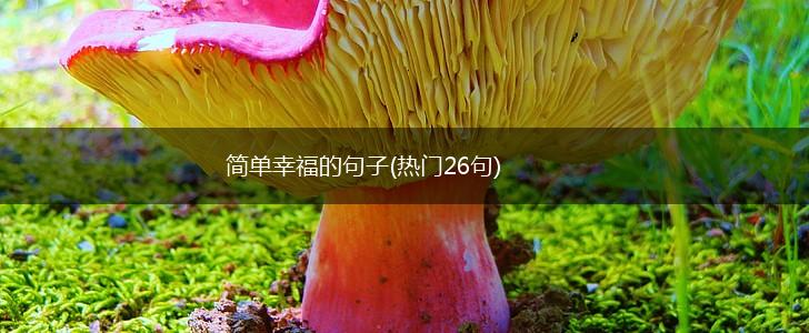 简单幸福的句子(热门26句),第1张