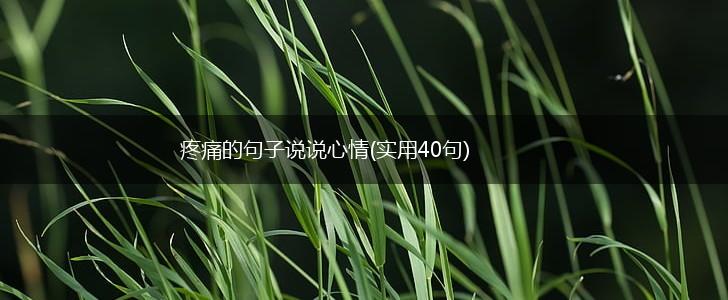 疼痛的句子说说心情(实用40句),第1张