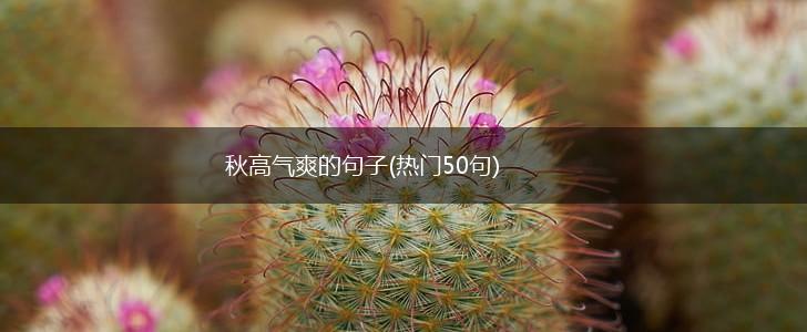 秋高气爽的句子(热门50句),第1张