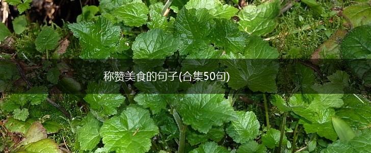 称赞美食的句子(合集50句),第1张
