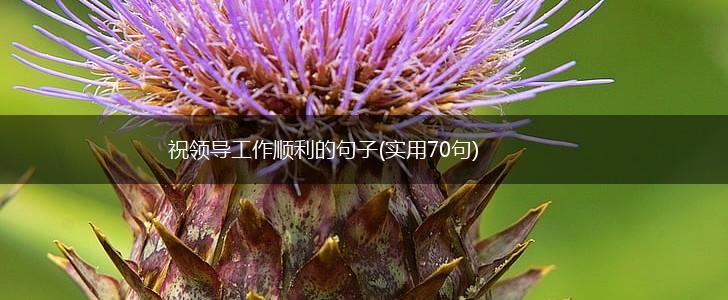 祝领导工作顺利的句子(实用70句),第1张