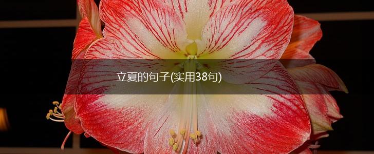 立夏的句子(实用38句),第1张