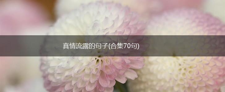 真情流露的句子(合集70句),第1张