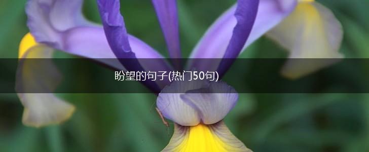 盼望的句子(热门50句),第1张