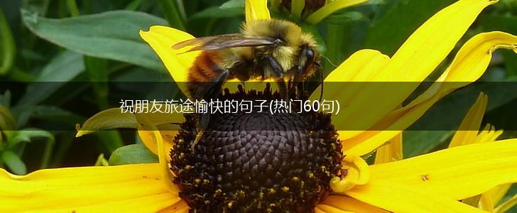 祝朋友旅途愉快的句子(热门60句),第1张