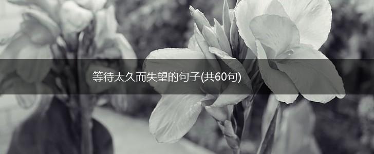 等待太久而失望的句子(共60句),第1张