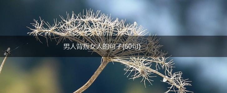 男人背叛女人的句子(60句),第1张