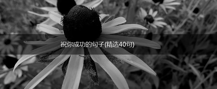 祝你成功的句子(精选40句),第1张