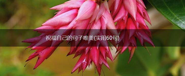 祝福自己的句子唯美(实用60句),第1张
