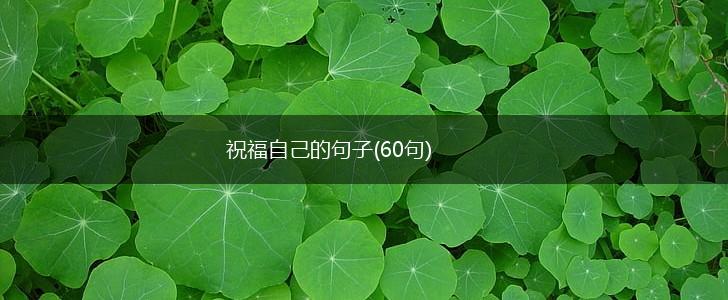 祝福自己的句子(60句),第1张