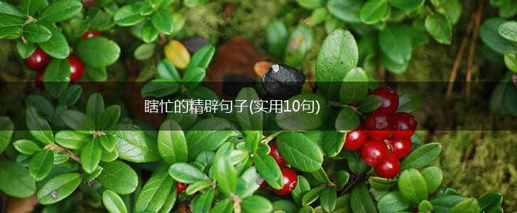 瞎忙的精辟句子(实用10句),第1张