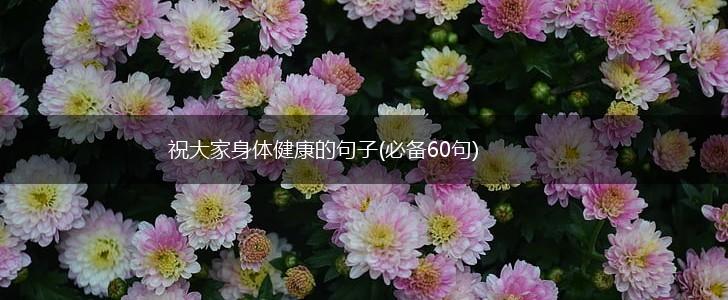 祝大家身体健康的句子(必备60句),第1张