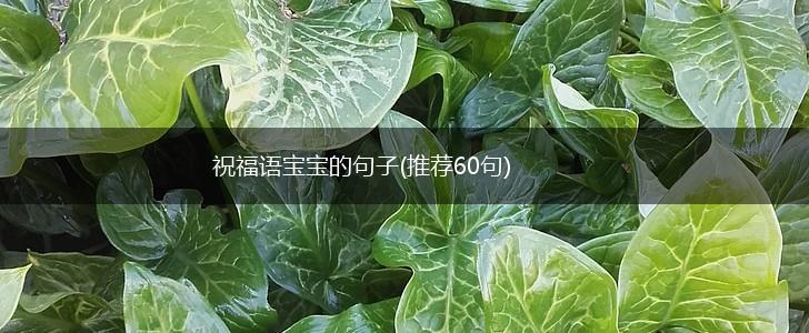 祝福语宝宝的句子(推荐60句),第1张