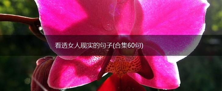 看透女人现实的句子(合集60句),第1张
