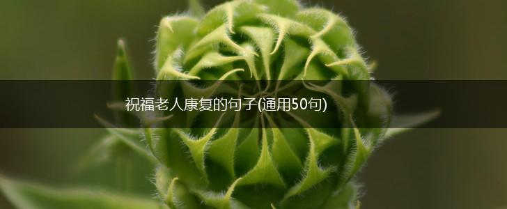 祝福老人康复的句子(通用50句),第1张