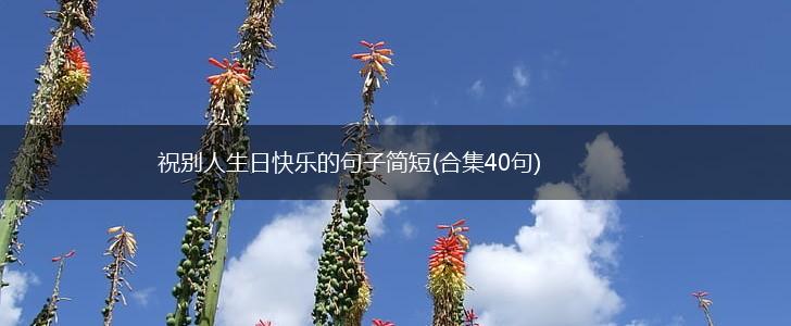 祝别人生日快乐的句子简短(合集40句),第1张