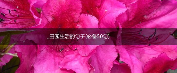 田园生活的句子(必备50句),第1张