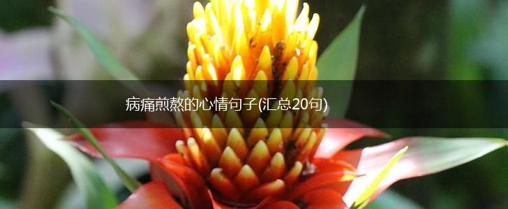 病痛煎熬的心情句子(汇总20句),第1张